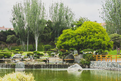 Scenic view of park by lake against sky