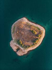 High angle view of rock on sea shore