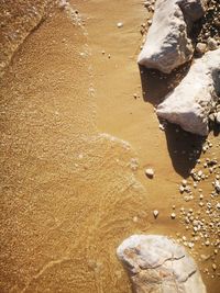 High angle view of rocks on shore