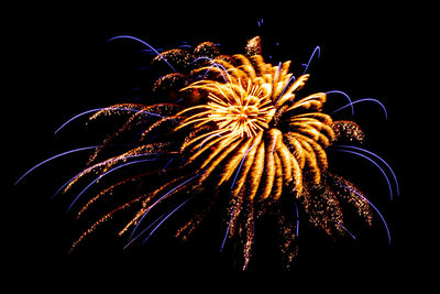 Low angle view of firework display at night