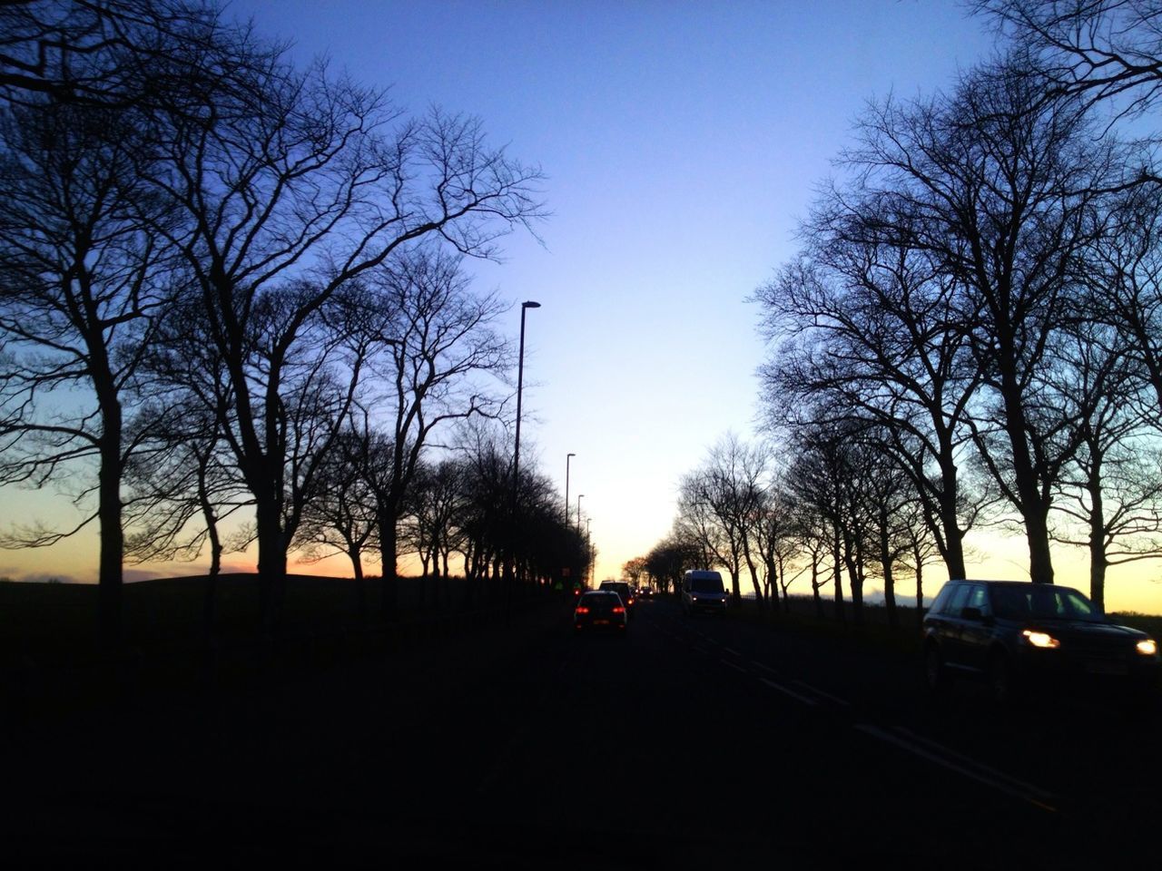 SILHOUETTE OF TREES AGAINST SKY