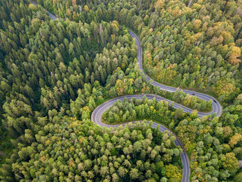 High angle view of road amidst trees in forest