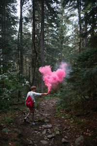 Rear view of woman holding distress flare while standing in forest
