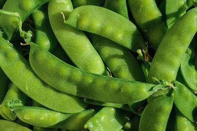 Full frame of young ripe pea pods for background, food delivery from the market, farm