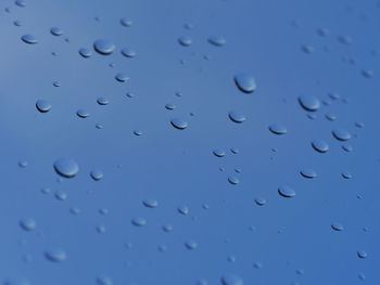 Close-up of water drops on black background