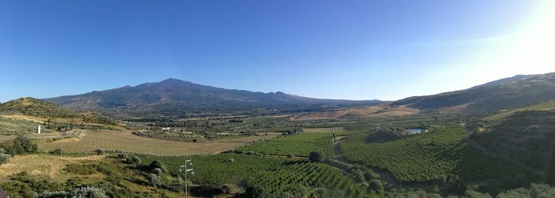 Scenic view of agricultural field against clear sky