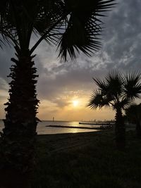 Silhouette palm trees on beach against sky during sunset