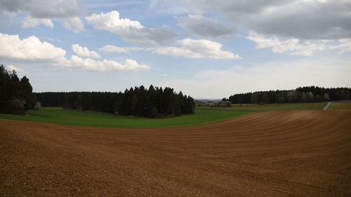 Scenic view of agricultural field against sky