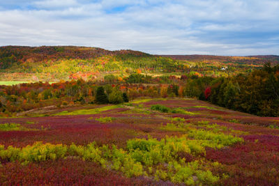 Scenic view of field against sky during autumn