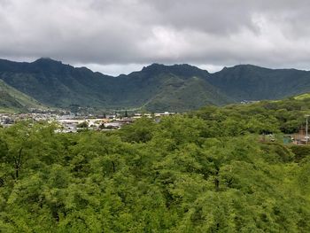 Scenic view of trees and mountains against sky