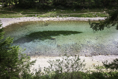 High angle view of water flowing in forest