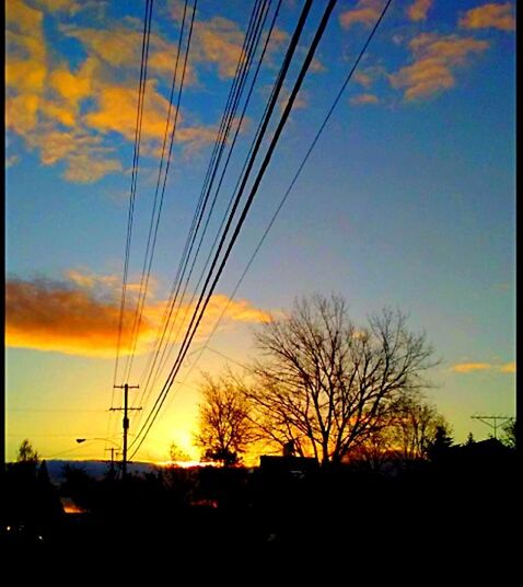 SILHOUETTE TREES AND ELECTRICITY PYLONS AGAINST SKY DURING SUNSET