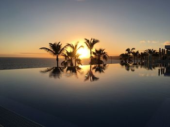 Palm trees by swimming pool against sky during sunset