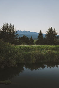 Scenic view of lake against clear sky