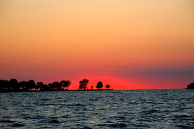 Silhouette of trees at sunset