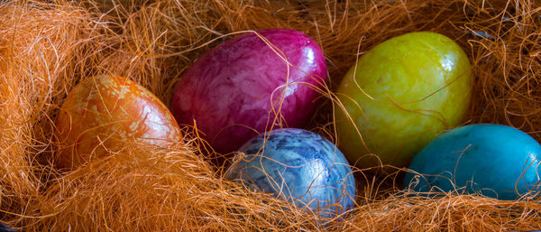 Close-up of colorful easter eggs in nest