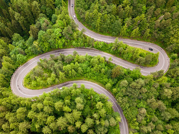 High angle view of road amidst trees