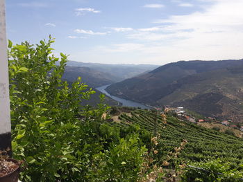 Scenic view of agricultural landscape against sky