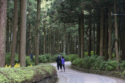 Rear view of men walking on road in forest