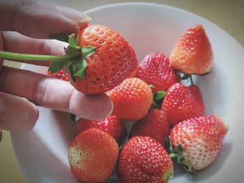 Close-up of hand holding strawberries