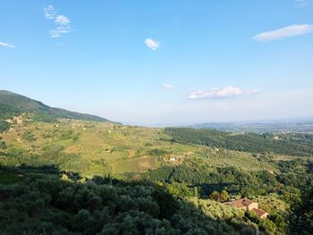 Scenic view of agricultural field against sky