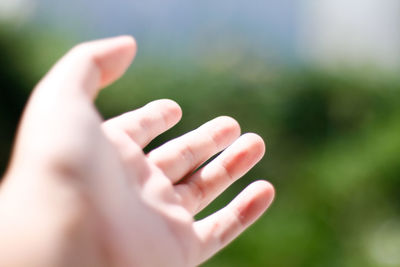 Cropped image of hand gesturing outdoors