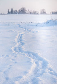 A beautiful winter day landscape of rural area. snowy scenery of northern europe.