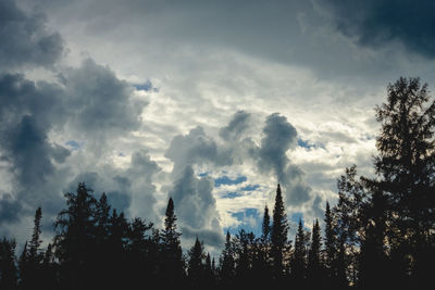 Low angle view of silhouette trees against sky