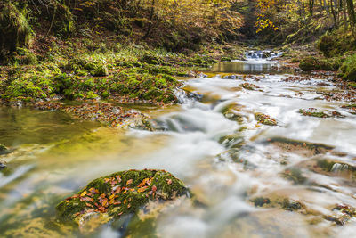 Stream flowing through rocks in forest