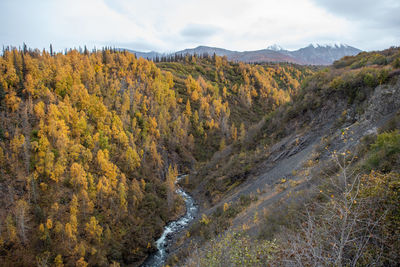 Scenic view of landscape against sky during autumn