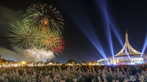 Low angle view of firework display at night