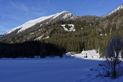 Snow covered land and trees against sky