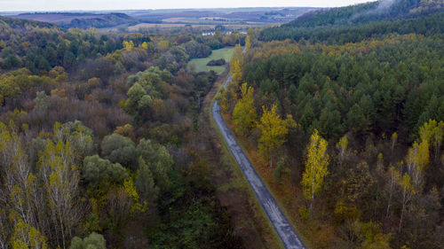 High angle view of road amidst trees in forest