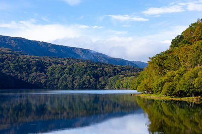 Scenic view of lake by trees against sky