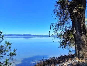 Scenic view of lake against clear blue sky