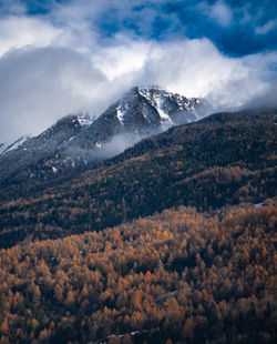 mountain