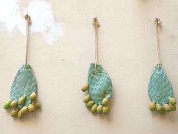 Directly above shot of pine cones on table