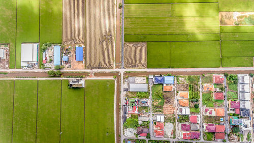 Graffiti on wall in city