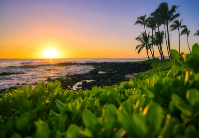 Scenic view of sea against sky during sunset