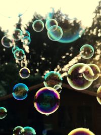 Close-up of bubbles