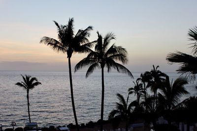 Silhouette palm trees by sea against sky at sunset