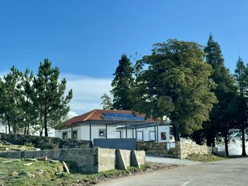 Trees and buildings against blue sky