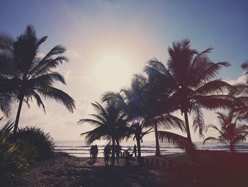 Silhouette palm trees on beach against sky at sunset