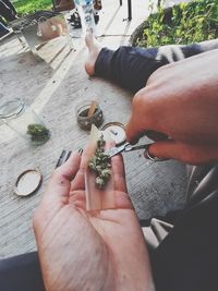 Low section of man holding marijuana