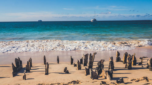 Scenic view of beach