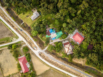 High angle view of road amidst trees in city