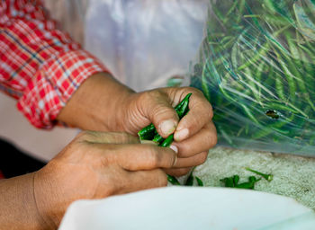 Cropped hands of person holding green chili peppers