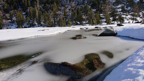 Snow covered field by trees