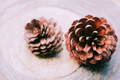 High angle view of pine cone on table