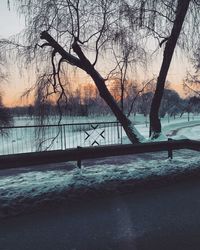 Bare tree by lake against sky during sunset